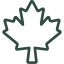Canada Icon
